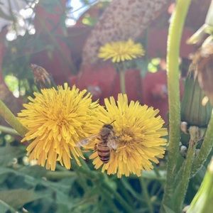 Meet your Posher, Blair